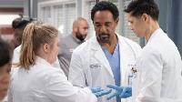 Greys Anatomy